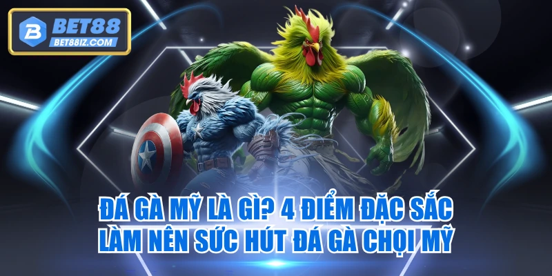 Đá Gà Mỹ Là Gì? 4 Điểm Đặc Sắc Làm Nên Sức Hút Đá Gà Chọi Mỹ